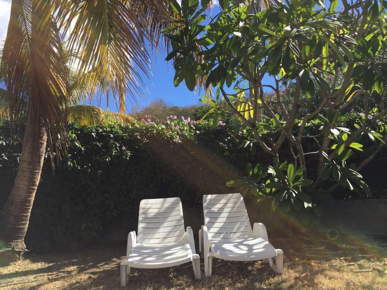 Ferienwohnung T2 Tropical En Bord De Piscine A 100M De La Mer Le Carbet Exterior foto
